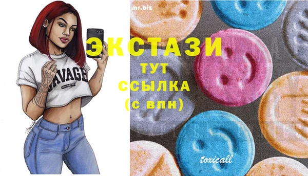 мдпв Каменка