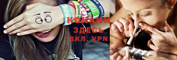 мдпв Каменка