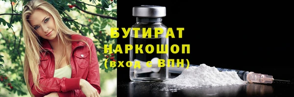 мдпв Каменка