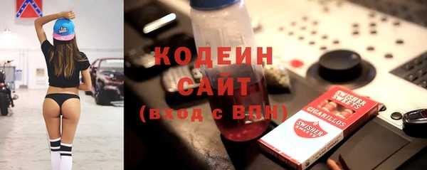 мдпв Каменка