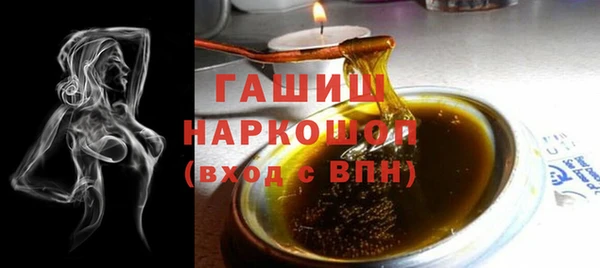 мдпв Каменка