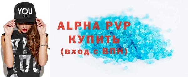мдпв Каменка