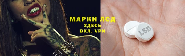 мдпв Каменка