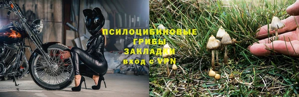 прущая мука Каменск-Шахтинский