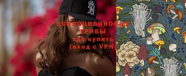 ECSTASY Каменногорск