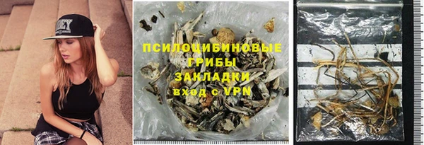 мдпв Каменка