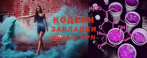 мдпв Каменка