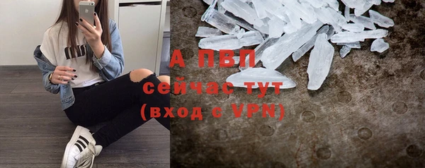 мдпв Каменка