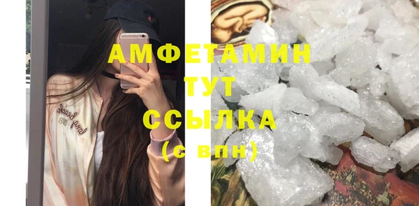 мдпв Каменка