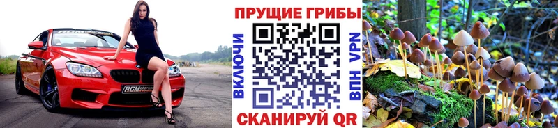 Купить  Нефтекамск  Галлюциногенные грибы MAGIC MUSHROOMS 